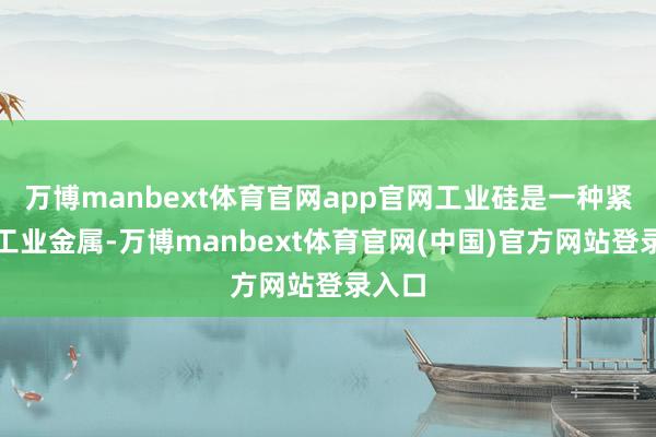 万博manbext体育官网app官网工业硅是一种紧要的工业金属-万博manbext体育官网(中国)官方网站登录入口